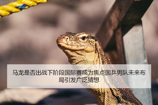 马龙是否出战下阶段国际赛成为焦点国乒男队未来布局引发广泛猜想
