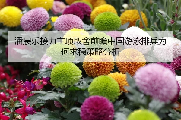 潘展乐接力主项取舍前瞻中国游泳排兵为何求稳策略分析