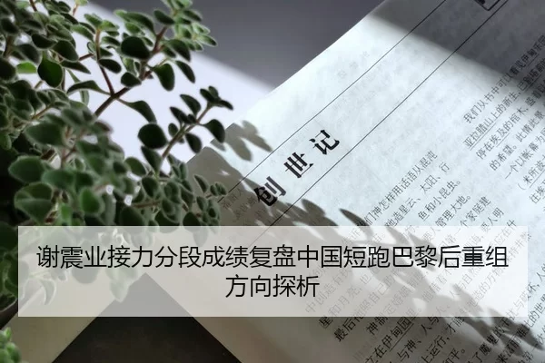 谢震业接力分段成绩复盘中国短跑巴黎后重组方向探析