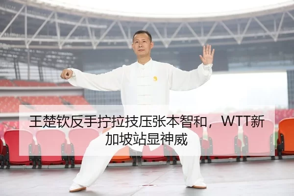 wang-chu-qin-fan-shou-ning-la-ji-ya-zhang-ben-zhi-he-xin-jia-po-zhan-xian-shen-wei-2-597.jpg