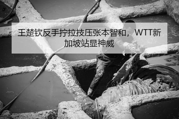王楚钦反手拧拉技压张本智和，WTT新加坡站显神威
