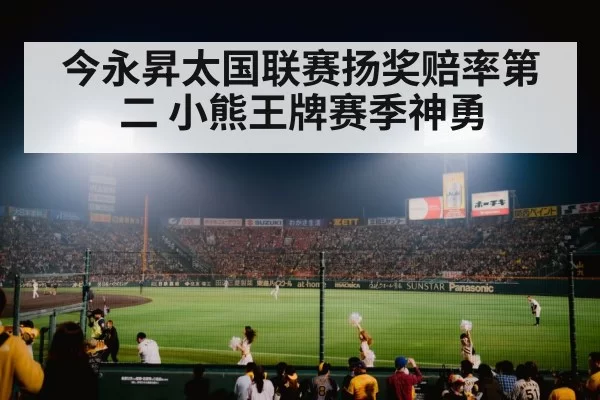 baseball stadium night game