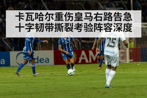 卡瓦哈尔重伤皇马右路告急 十字韧带撕裂考验阵容深度